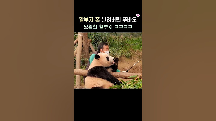할부지랑 셀카찍다 할부지 휴대폰 날려버린 푸바오🤣 그래놓고 시침떼는 뚠빵이~👀 #fubao #푸바오 #panda
