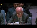 Palestinian Ambassador breaks down and begs UN to stop Israeli war crimes