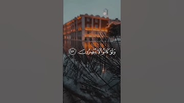 أفأنت تهدي العمى ولو كانوا لايبصرون #عبدالرحمن_مسعد #سورة_السجدة #اكسبلور #راحة_نفسية