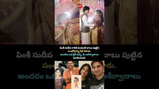 Pinky Sudeepa Blessed With Baby Boy