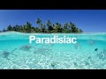 Miniature de la vidéo de la chanson Paradise (Jerome Isma-Ae Remix)