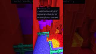 Minecraft Tumblr Post