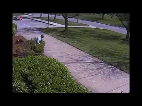 Police Detective challenges the Goose... and the goose wins