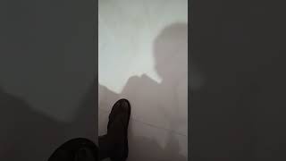 Download Lagu 23 February 2026 MP3