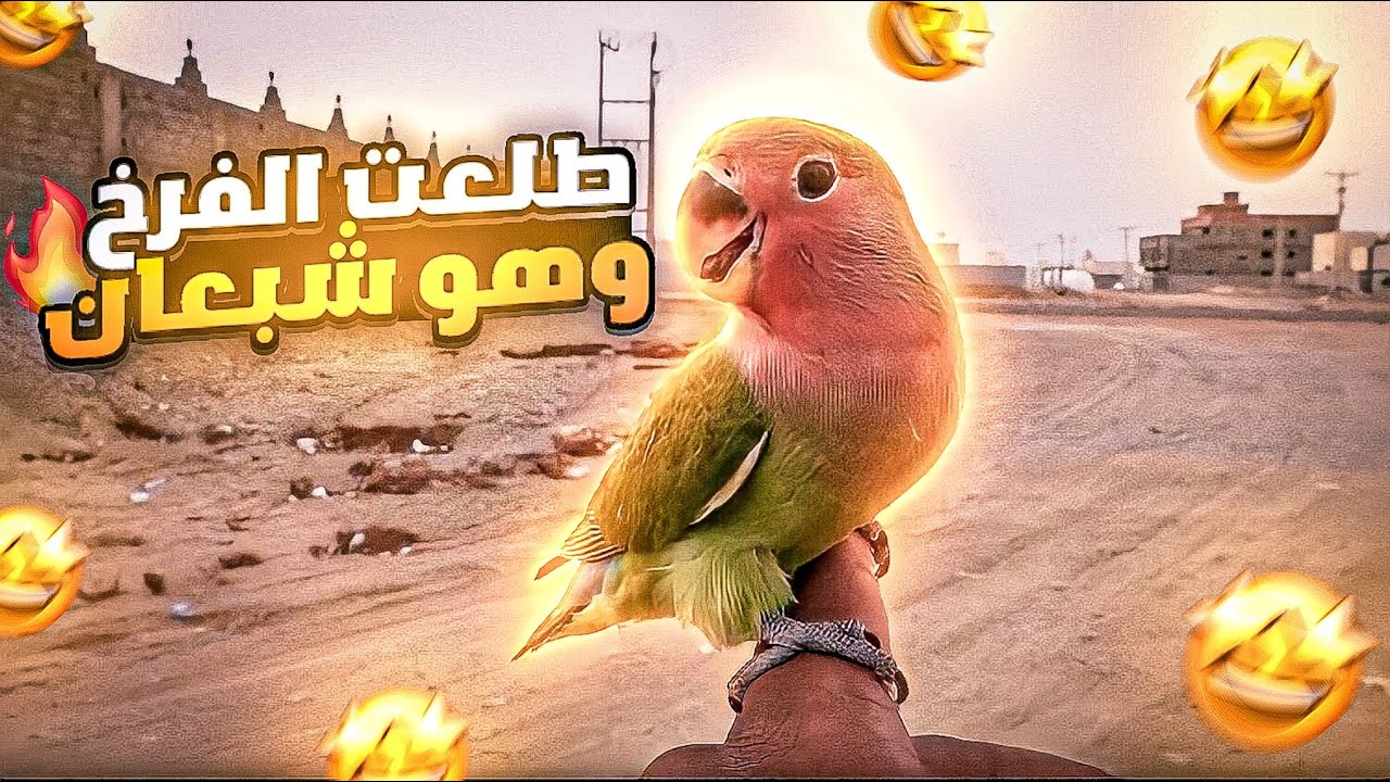 هدد خارجي مع الروز😍🔥