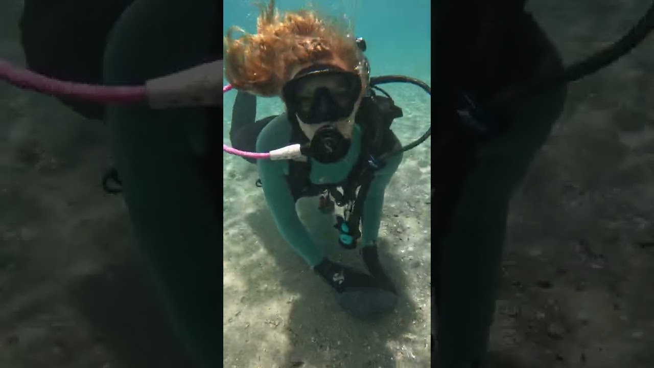 How to Scuba Dive at Blue Heron Bridge In 60 seconds YouTube