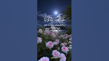 عبدالولي الأركاني #ارح_سمعك #بر_الوالدين #الأم #الأب #رمضان #الحج #الصلاة #قرآن_كريم #تلاوة_خاشعة