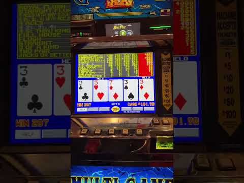 NEW RULES COLLECTIVE (SANTERIA BY SUBLIME COVER) Pala Casino