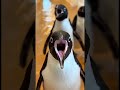 OMG, what’s happening in my bathroom?!