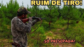 Download Lagu RUIM DE TIRO! MP3 Download Lagu RUIM DE TIRO! MP3