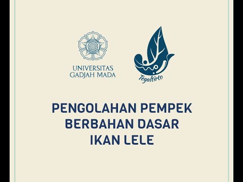 Cara Membuat Pempek Dari Ikan Lele