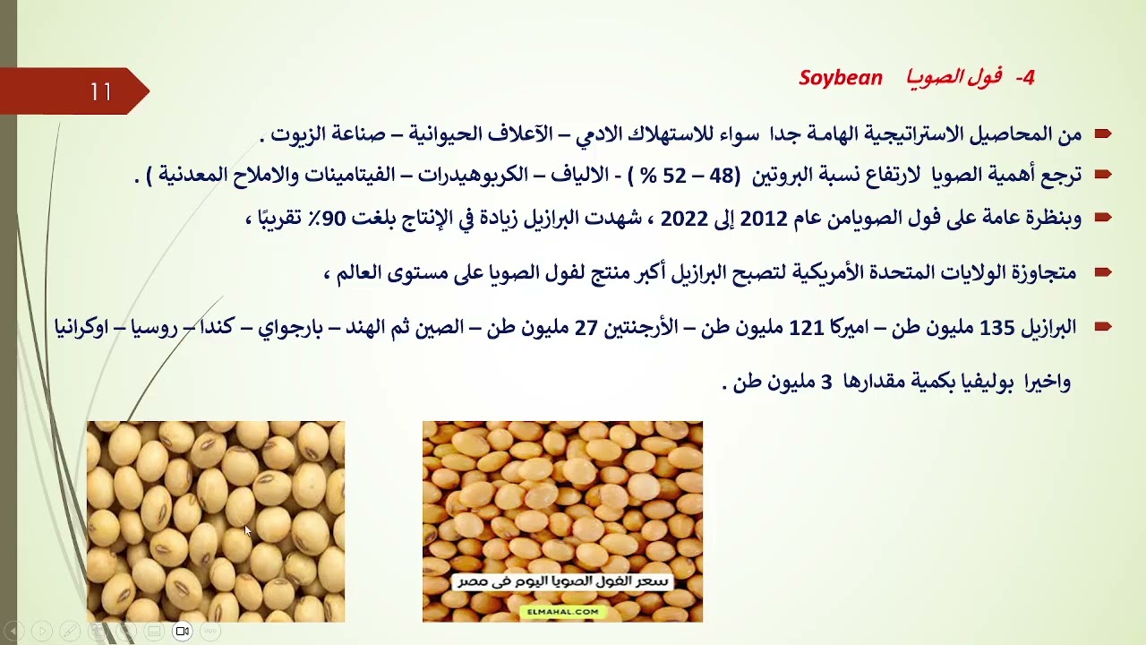 الخطوة الآولي لطريق العمل بالمطاحن