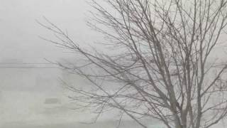 St John's pre spring storm with 160km wind gust#storm #wind#snow 
