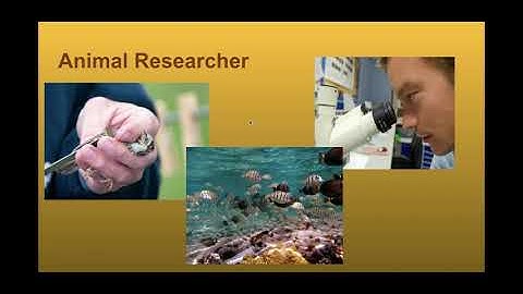 Journal Writing - Google Slides