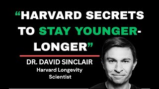 Harvard Dr. David Sinclair Reveals 5 Daily Habits to Slow Aging Naturally