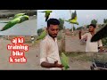 ringneck parrots training with bike // jtni umeed thi wohi hoa