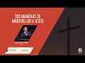 Salvador Pardo - Dos maneras de maravillar a Jesús