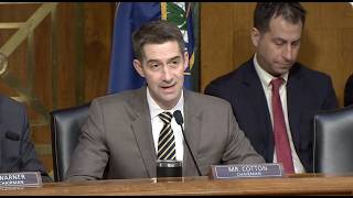 January 29, 2026: Cotton Intel Hearing Opening Remarks