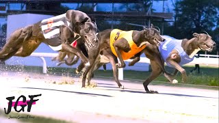 🏆 Greyhound Racing 🐾 480m Sprint! 🏆 by JerseyGroovyFilms 17,728 views 4 months ago 3 minutes, 54 seconds