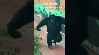 Komi̇k Hayvanlar Ve Maymunlar Küfürlü Ameri̇kan Dublaj