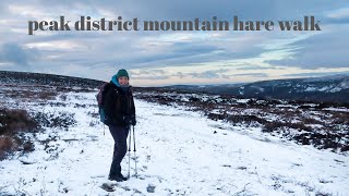 PEAK DISTRICT MOUNTAIN HARE WALK