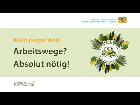 Arbeitswege? Absolut nötig!   |   Mein junger Wald