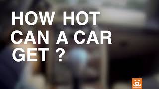 Don't leave your pets in a hot car!