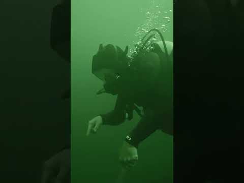 SNAGGED IN FISHING LINES UNDERWATER! 🥽⚠️