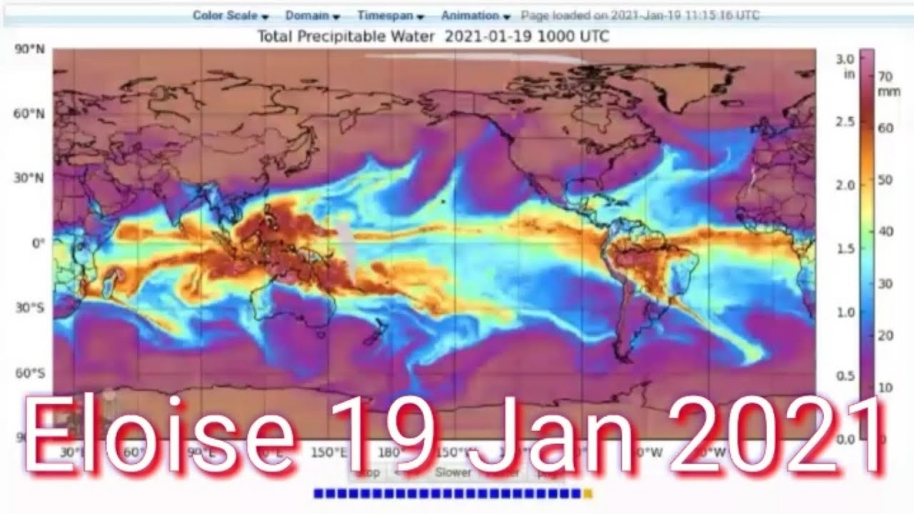 Eloise 19 Jan 2021  #2