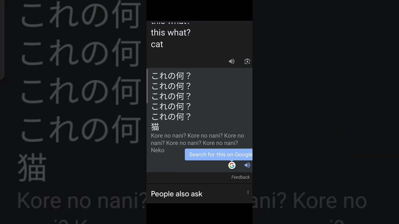 ⁣this what? cat in Japanese 😂#KuromiYT #trend #Funny #Japanese #google |KuromiYT