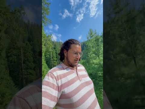 Untitled video