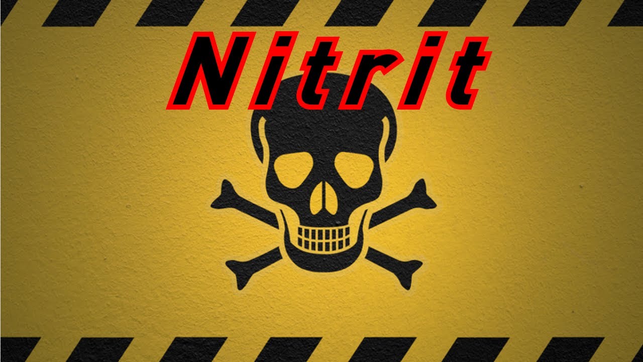 Nitrit (NO2) Nitrit ⚠️ im Aquarium senken Nitrit Peak im Aquarium