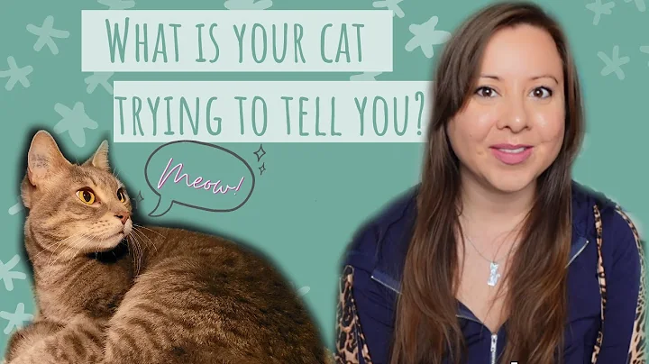 Cat Vocalizations and what they mean: Cat Communic...