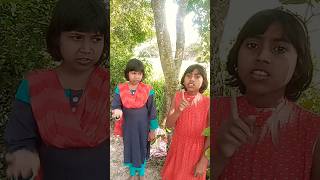 তর রকত মশ গছ,