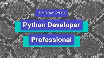 Demo Day курса «Python Developer. Professional»