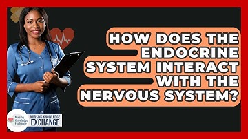 How Does The Endocrine System Interact With The Nervous System? - Nursing Knowledge Exchange