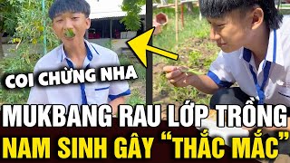 Mua suất cơm nhưng 'KHÔNG CÓ RAU', nam sinh liền MUKBANG vườn rau lớp trồng | Tin Nhanh Official