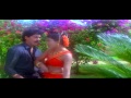 Seetharatnam Gari Abbayi || Aa Paapi Kondallo Video Song || Vinod Kumar, Roja