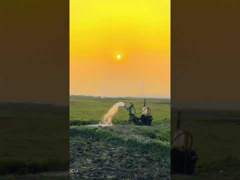আনিসুর রহমান আশরাফী  #shortvideo #attitude #youtube