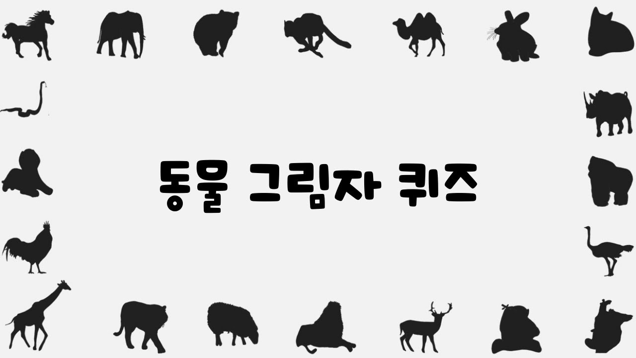 동물 그림자 맞추기 | 동물그림자퀴즈 |  그림자퀴즈 | 안녕우리쌤