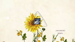 "Rebirth" by Juan Sanchez (Grand Piano Version) screenshot 3