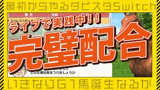 【ダビスタライブ配信】いちから始める牧場経営で最初から完璧配合生産プレイ。初心者さん必見の新企画です。