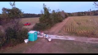 Magnolia Corn Maze Cow Train