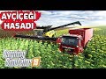 FARMING SIMULATOR 19 // AYÇİÇEĞİ HASAT EDİYORUZ !! #3