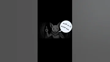 مرت على الخفاش مليكة الفراش بصوت أسامة الواعظ Cupcut قصائد أناشيد 