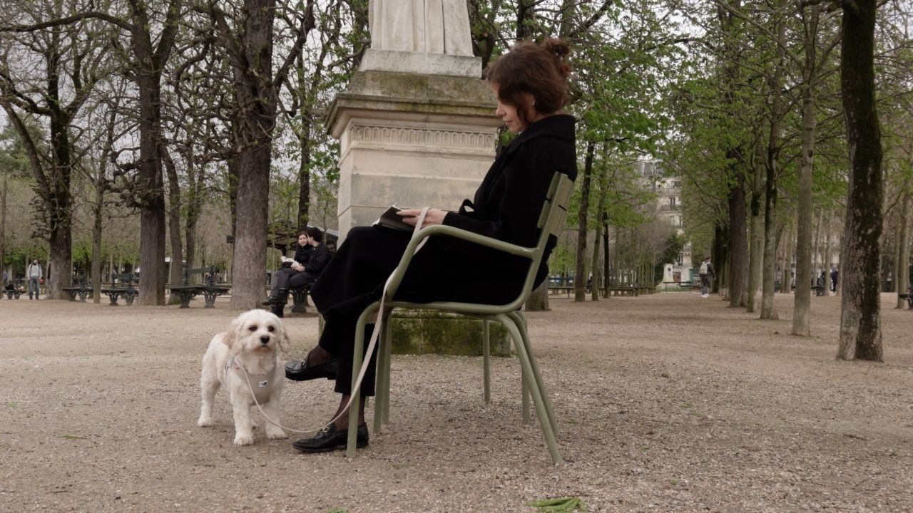 a day in the life of my dog in Paris