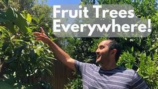 SoCal Garden Tour! Fruit Trees Everywhere!