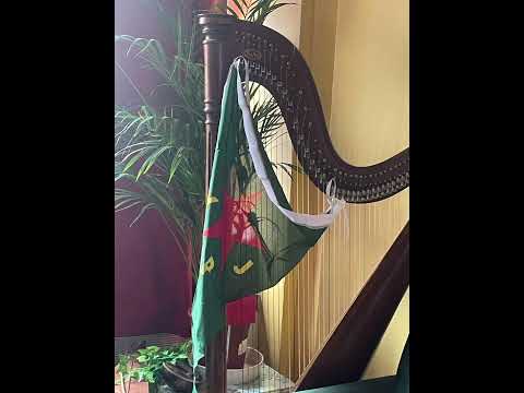 Tara Jaff piştgirî