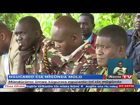 Mūndūrūme ūmwe kūgurara ngucanio-inī cia mūgūnda, Molo