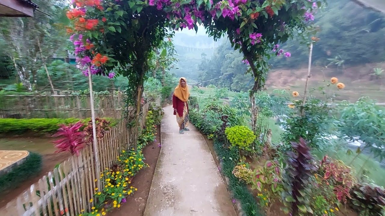 Kampung Pinggir Sungai Suara air membuat pikiran tenang